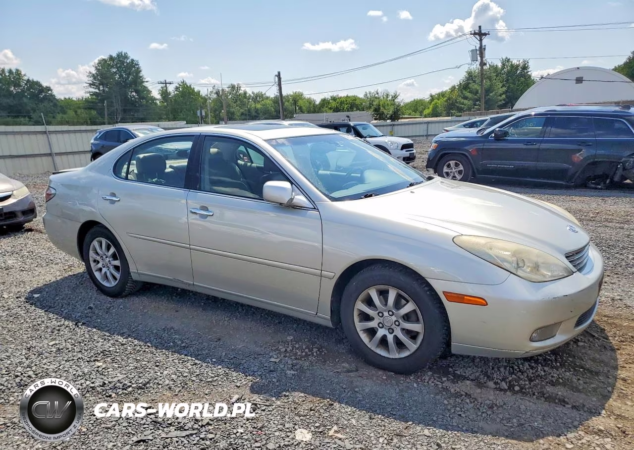 2004 Lexus Es 330 VIN:JTHBA30G945013454 - 4