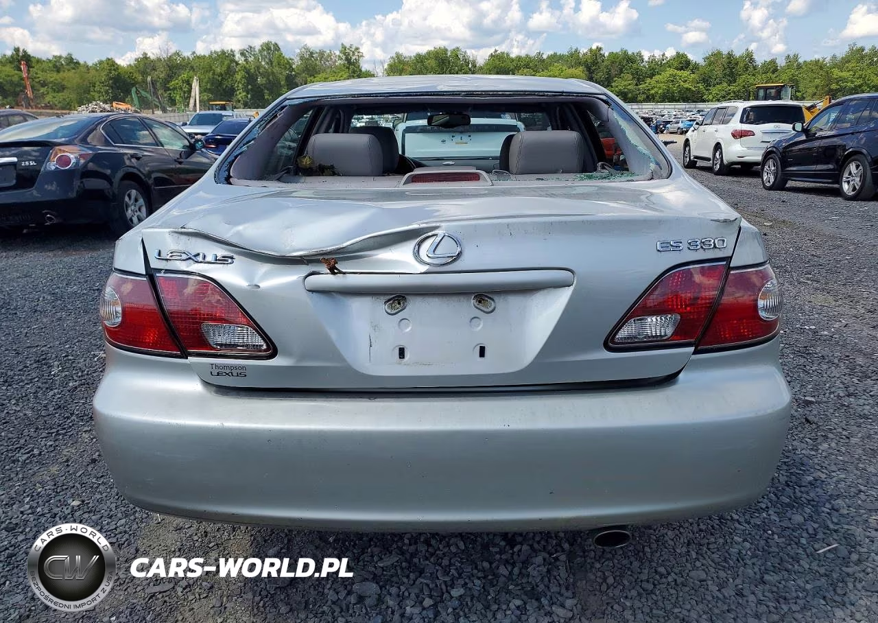 2004 Lexus Es 330 VIN:JTHBA30G945013454 - 6