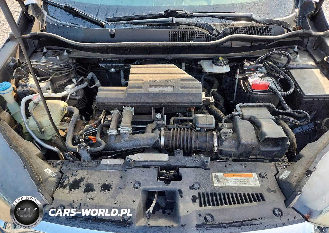 2019 Honda Cr-V Ex VIN:5J6RW1H59KA009993 - 12