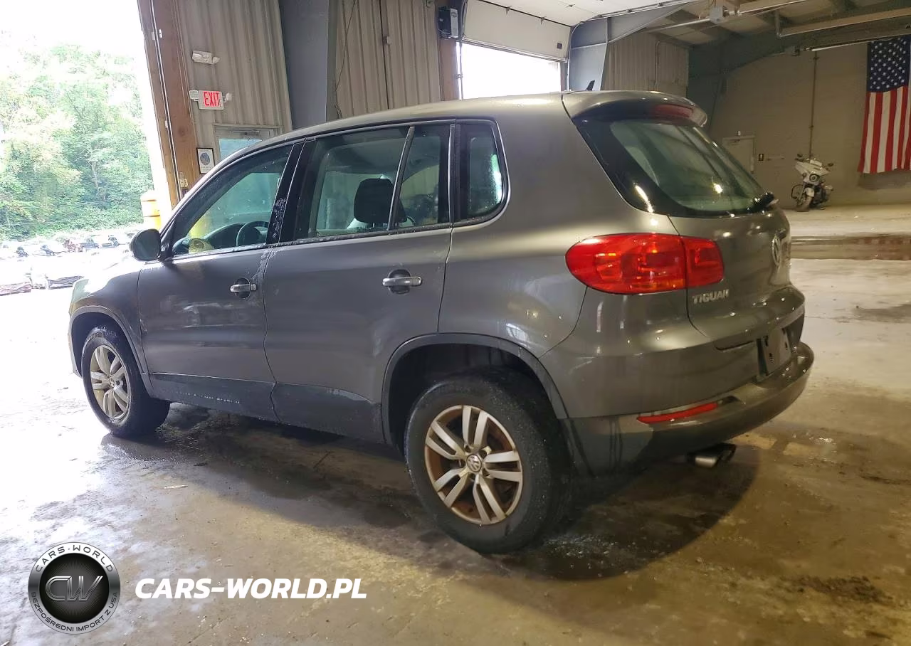 2014 Volkswagen Tiguan S VIN:WVGBV3AXXEW508838 - 2