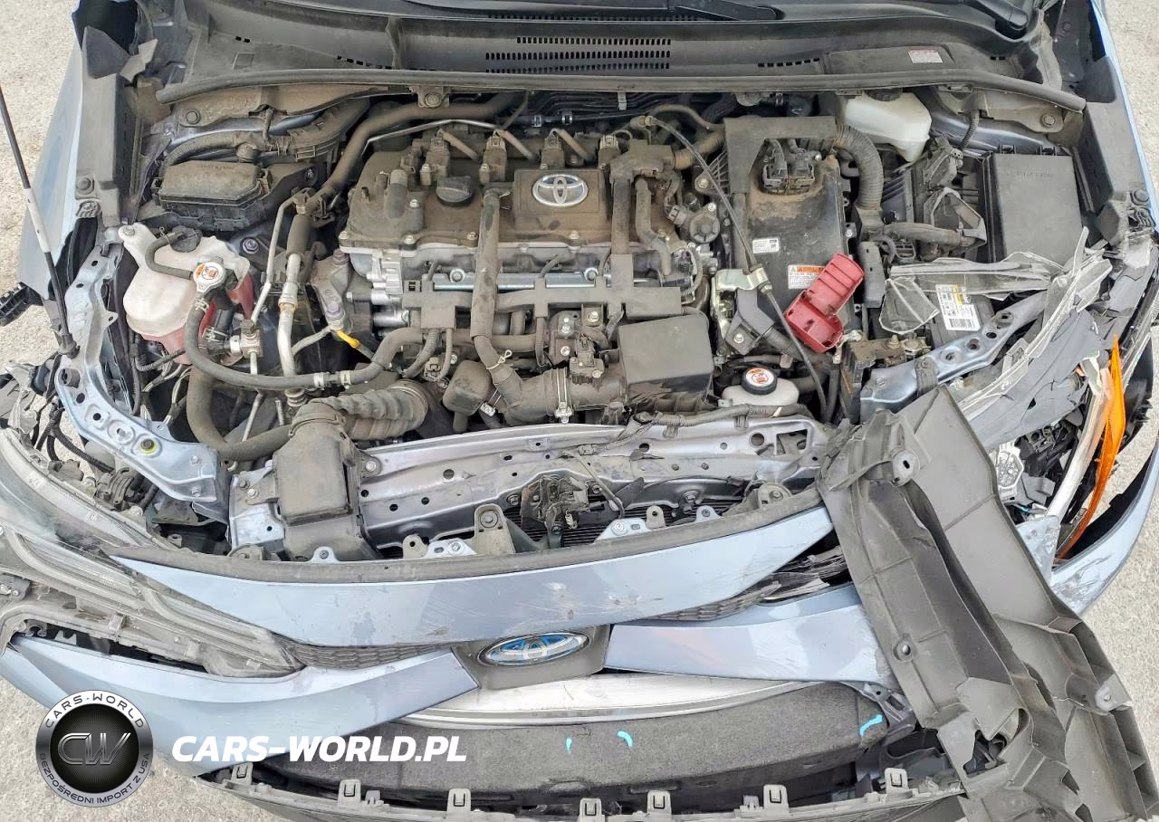 2021 Toyota Corolla Le VIN:JTDEAMDE0MJ003805 - 11