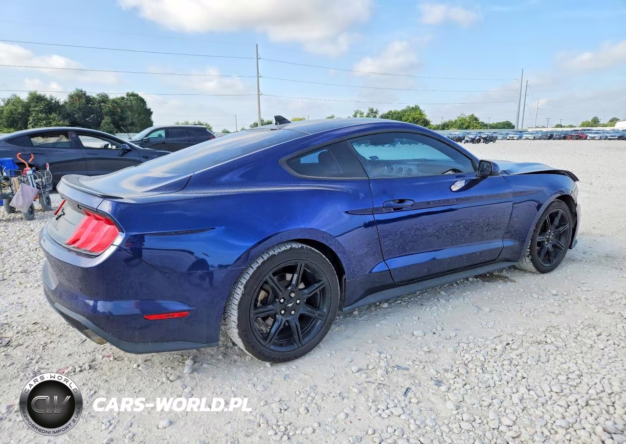 2020 Ford Mustang VIN:1FA6P8TH8L5158573 - 3