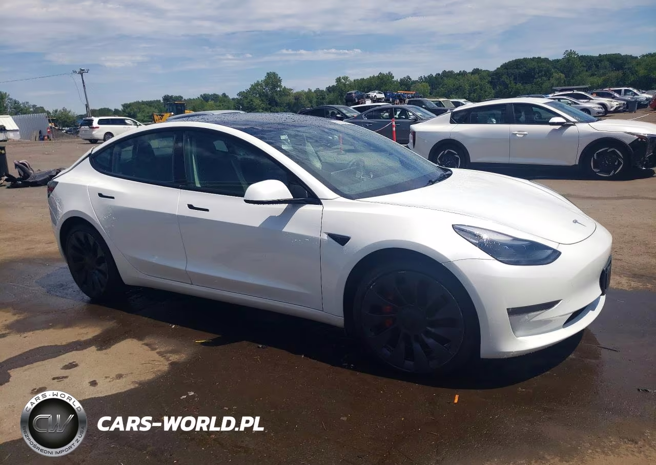 2023 Tesla Model 3 VIN:5YJ3E1EC6PF494903 - 4