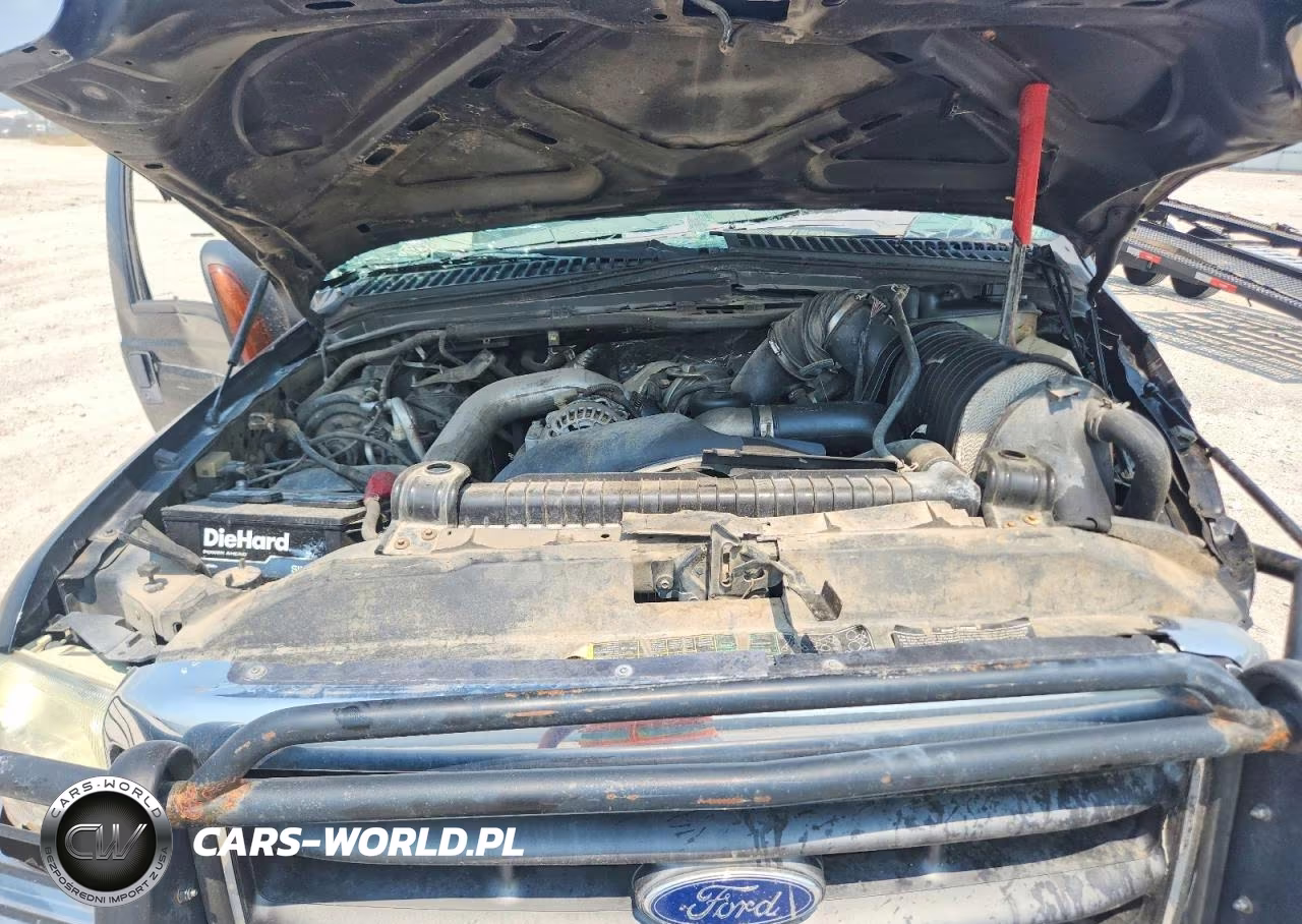 2004 Ford F350 Srw Super Duty VIN:1FDSW31P44ED78976 - 11