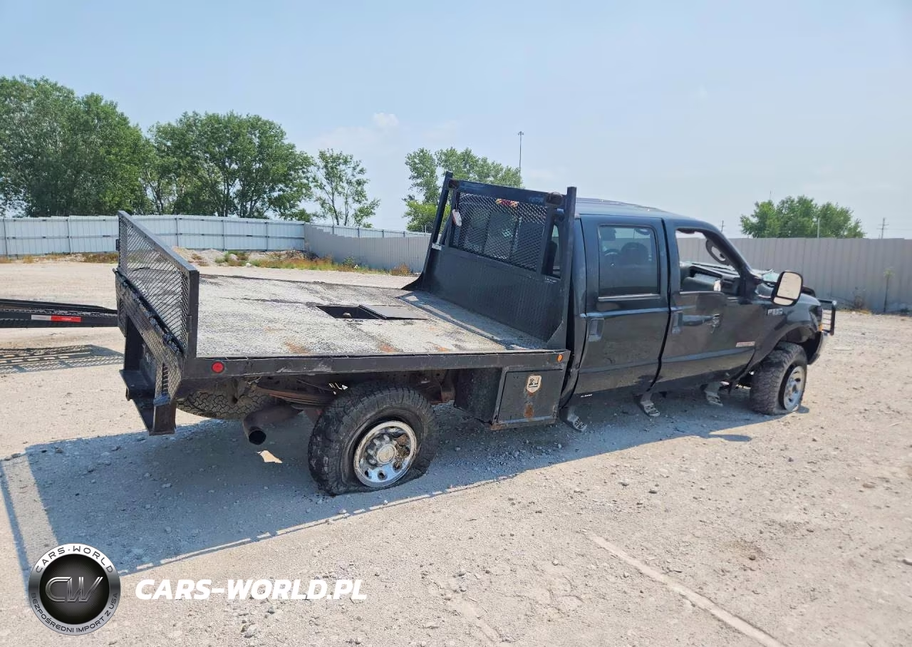 2004 Ford F350 Srw Super Duty VIN:1FDSW31P44ED78976 - 3