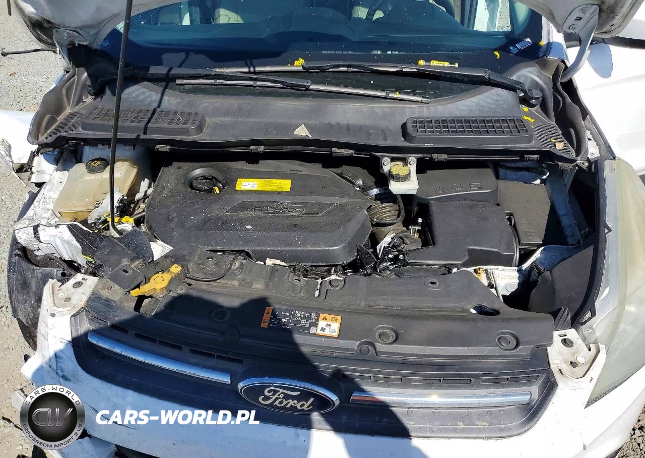 2016 Ford Escape Se VIN:1FMCU0GX9GUC81945 - 12