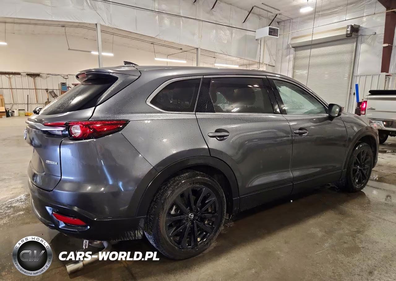 2023 Mazda Cx-9 Touring Plus VIN:JM3TCBAY3P0651211 - 3