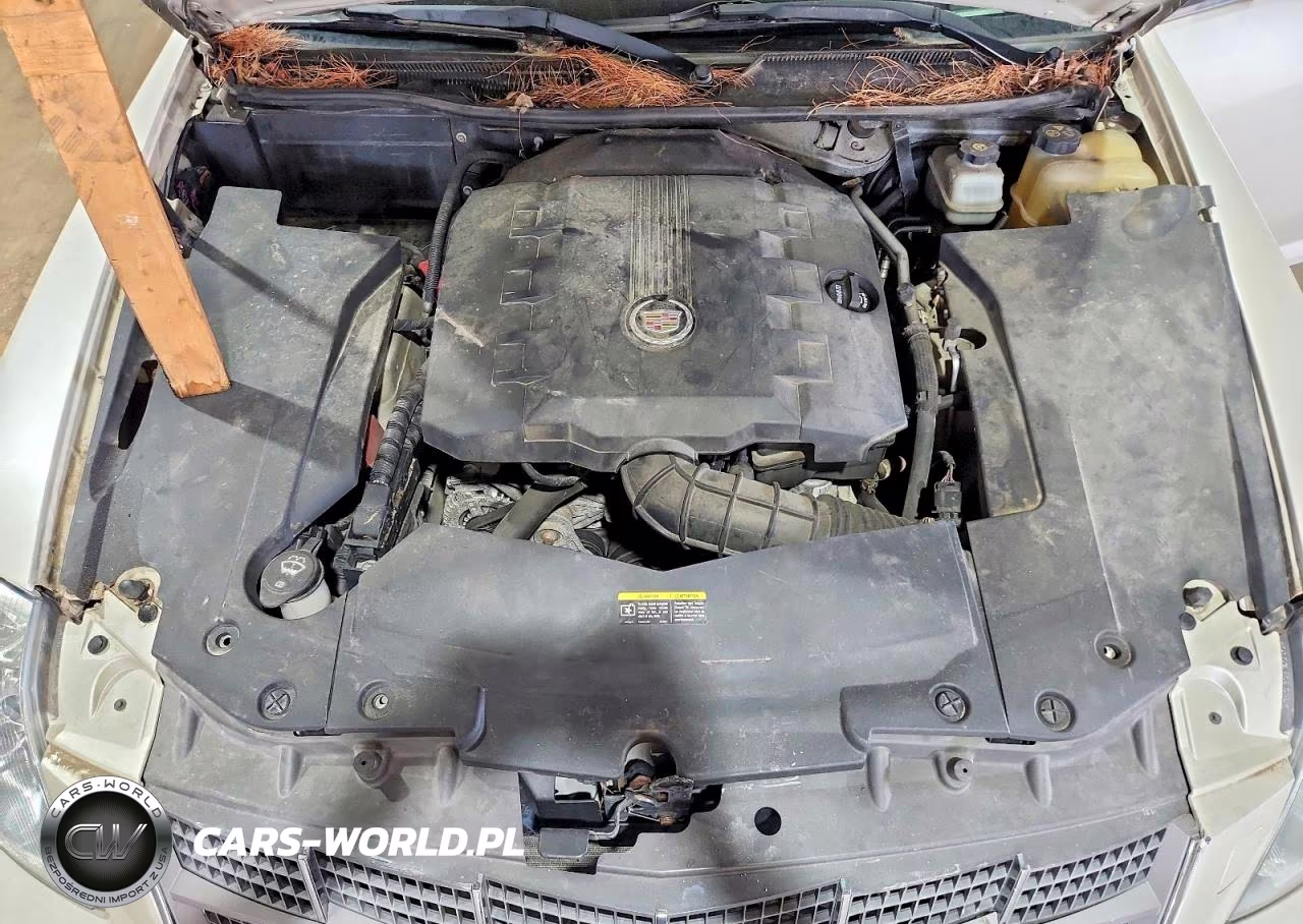 2010 Cadillac Sts VIN:1G6DU6EV6A0141673 - 11