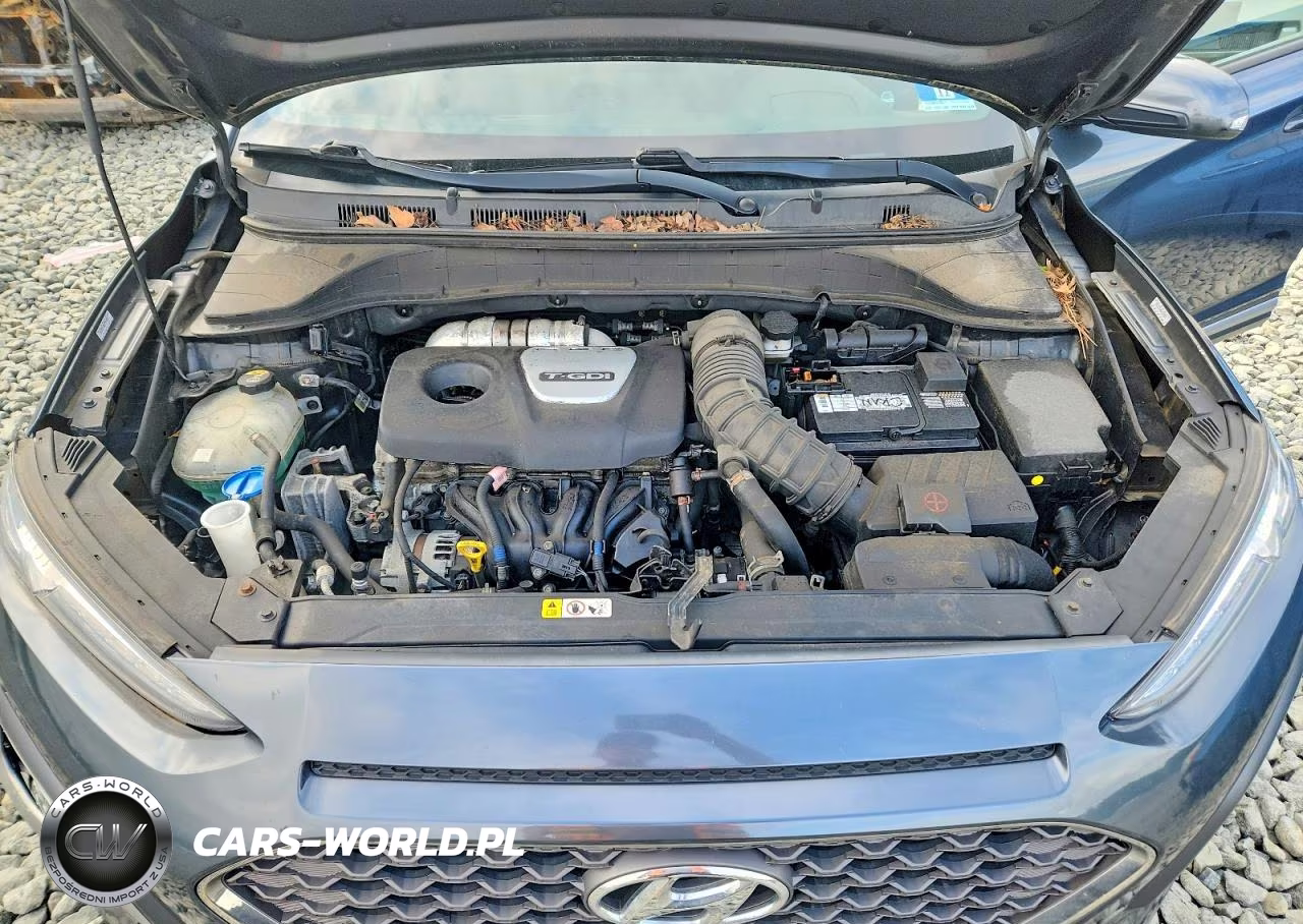 2019 Hyundai Kona Ultimate VIN:KM8K5CA50KU233292 - 12