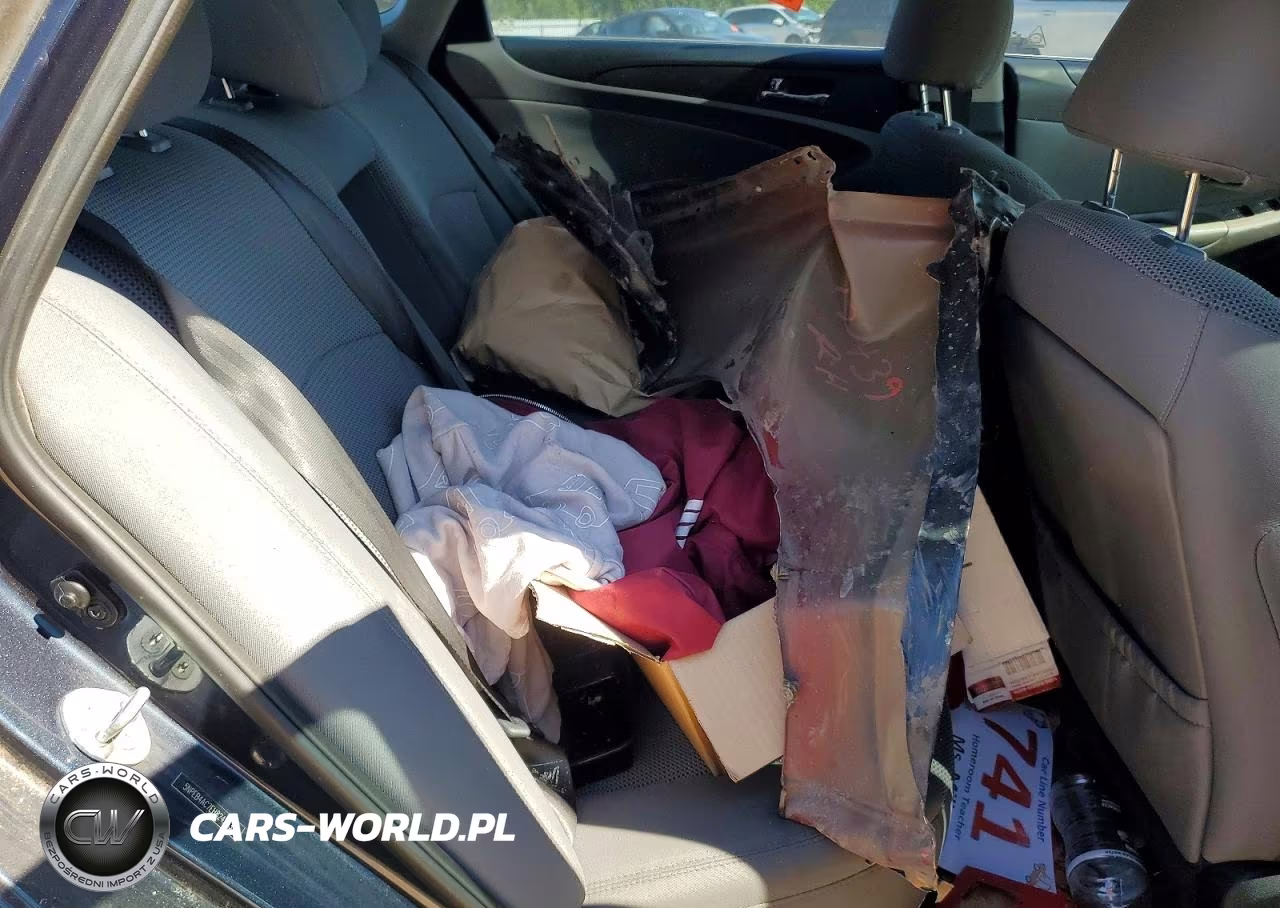 2014 Hyundai Sonata Gls VIN:5NPEB4AC7EH824233 - 10