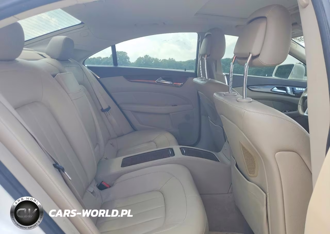 2013 Mercedes-Benz Cls 550 VIN:WDDLJ7DB6DA060756 - 10