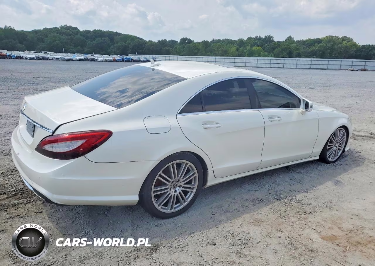 2013 Mercedes-Benz Cls 550 VIN:WDDLJ7DB6DA060756 - 3