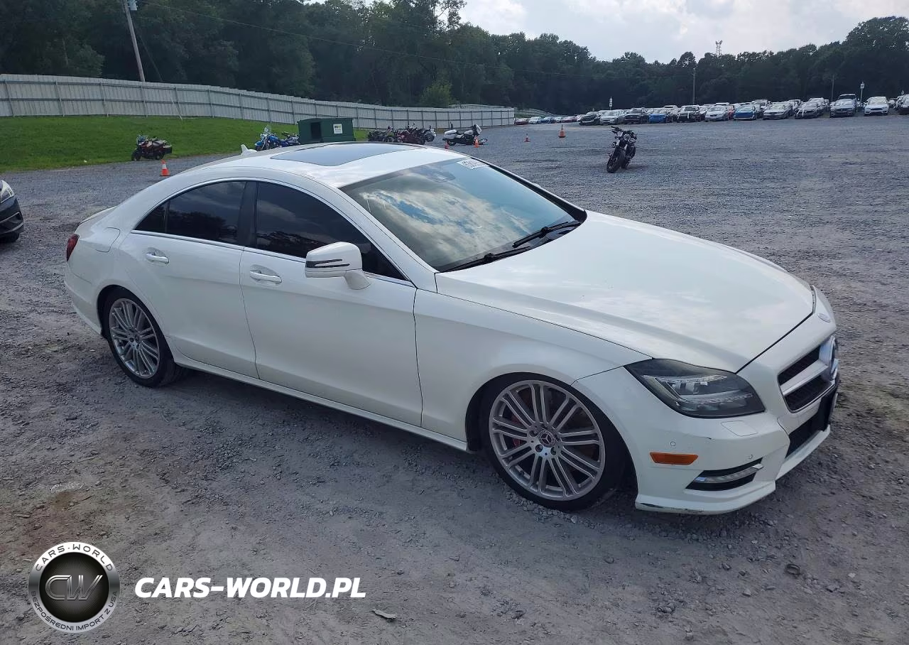 2013 Mercedes-Benz Cls 550 VIN:WDDLJ7DB6DA060756 - 4