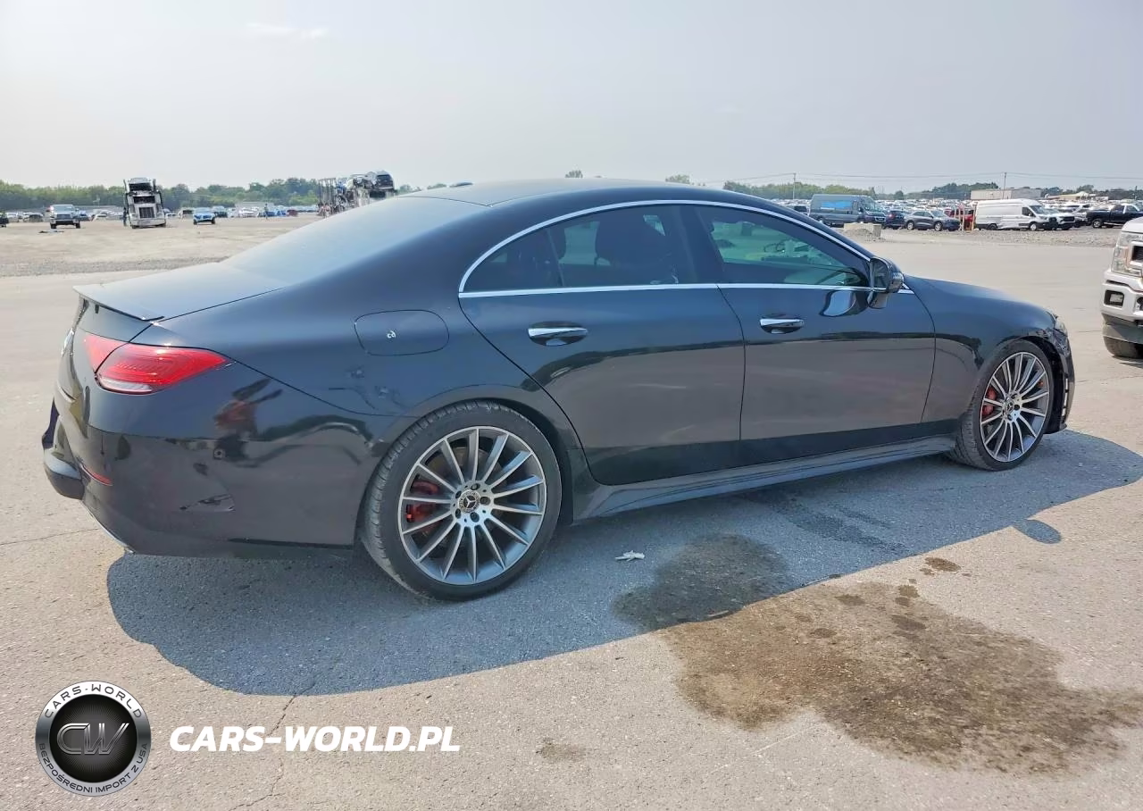 2019 Mercedes-Benz Cls 450 VIN:WDD2J5JB1KA014401 - 3