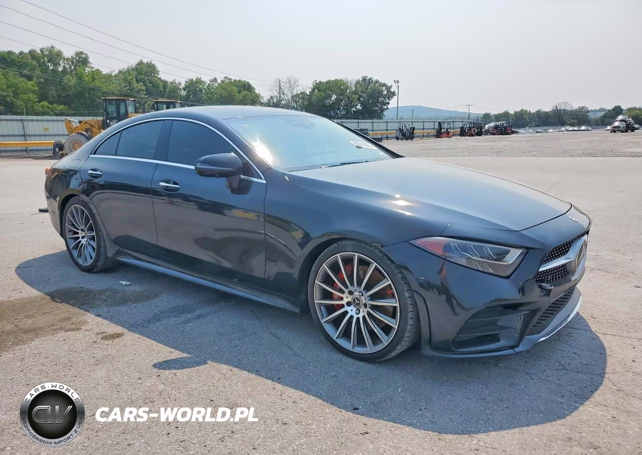 2019 Mercedes-Benz Cls 450 VIN:WDD2J5JB1KA014401 - 4