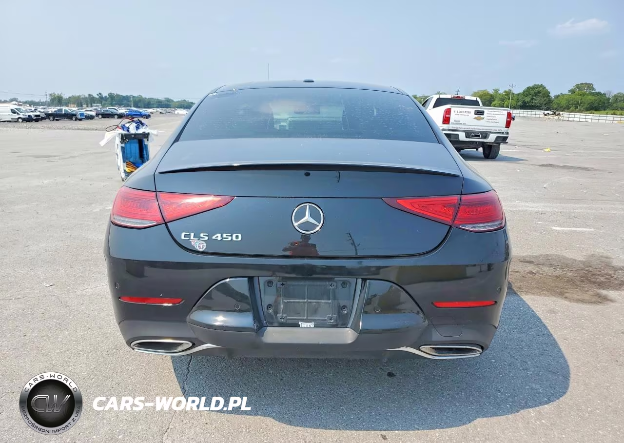 2019 Mercedes-Benz Cls 450 VIN:WDD2J5JB1KA014401 - 6