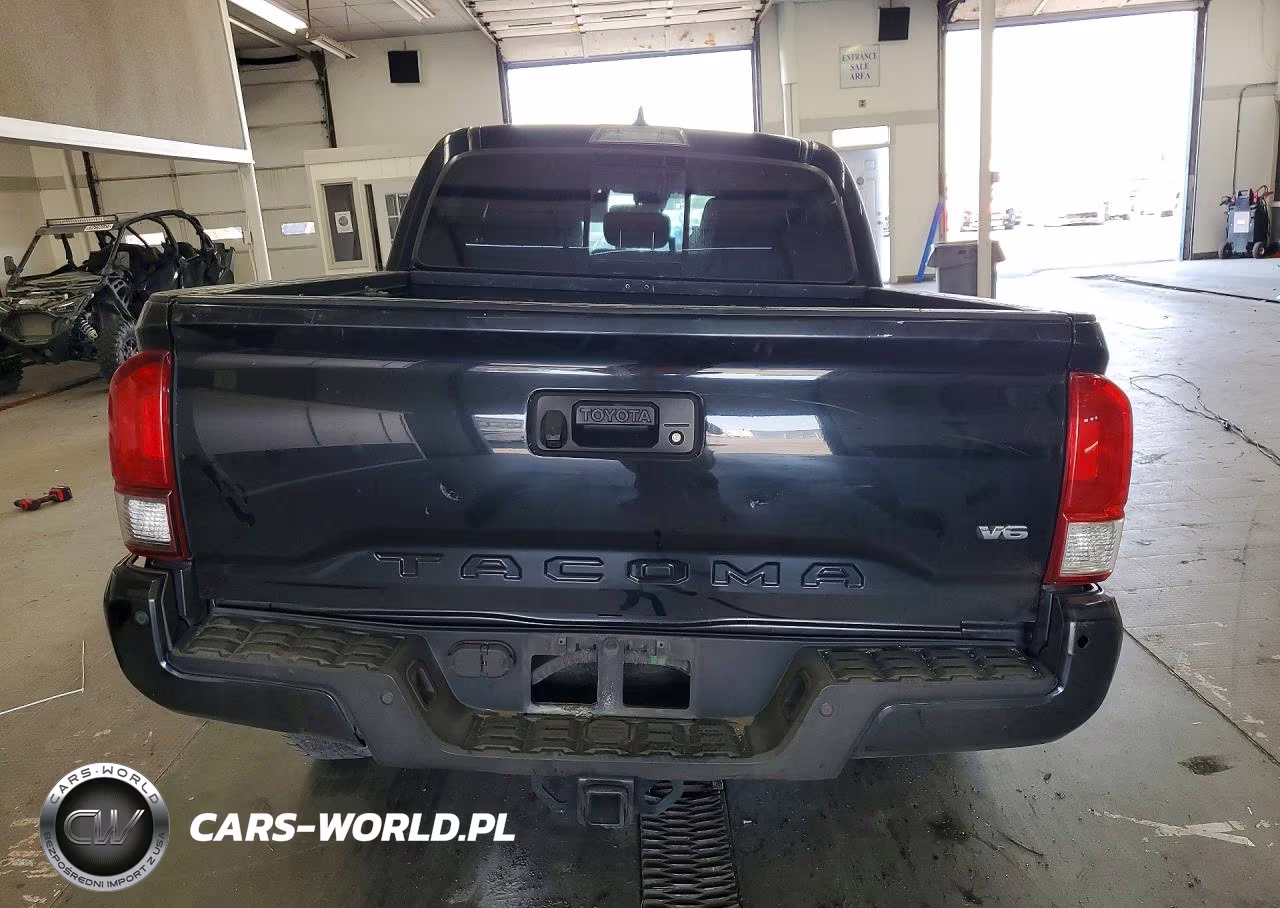 2019 Toyota Tacoma Trd Off-Road VIN:3TMCZ5AN8KM205690 - 6