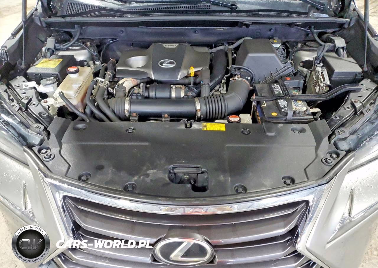 2015 Lexus Nx 200T VIN:JTJBARBZ8F2004085 - 12