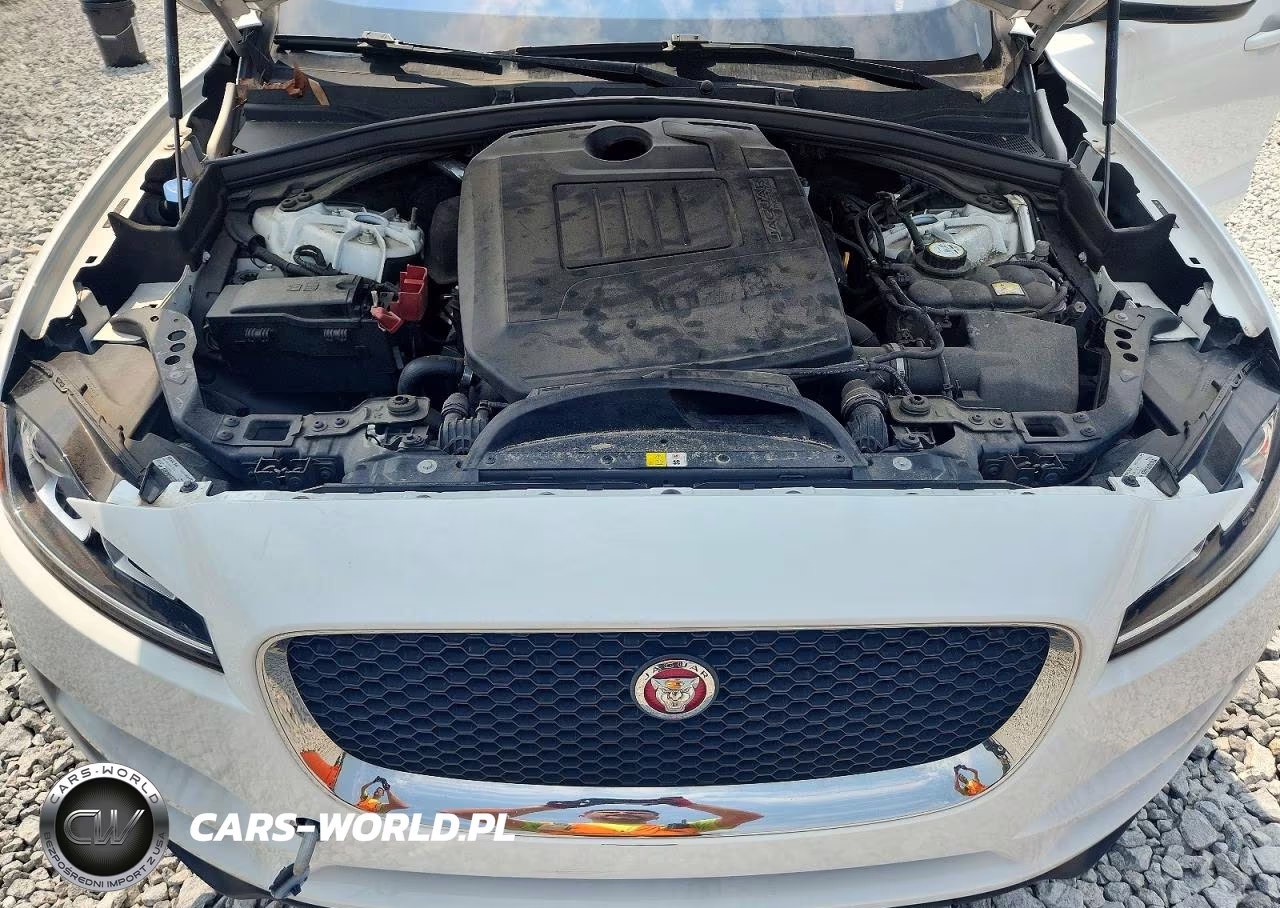 2018 Jaguar F-Pace Premium VIN:SADCJ2GX1JA235550 - 12