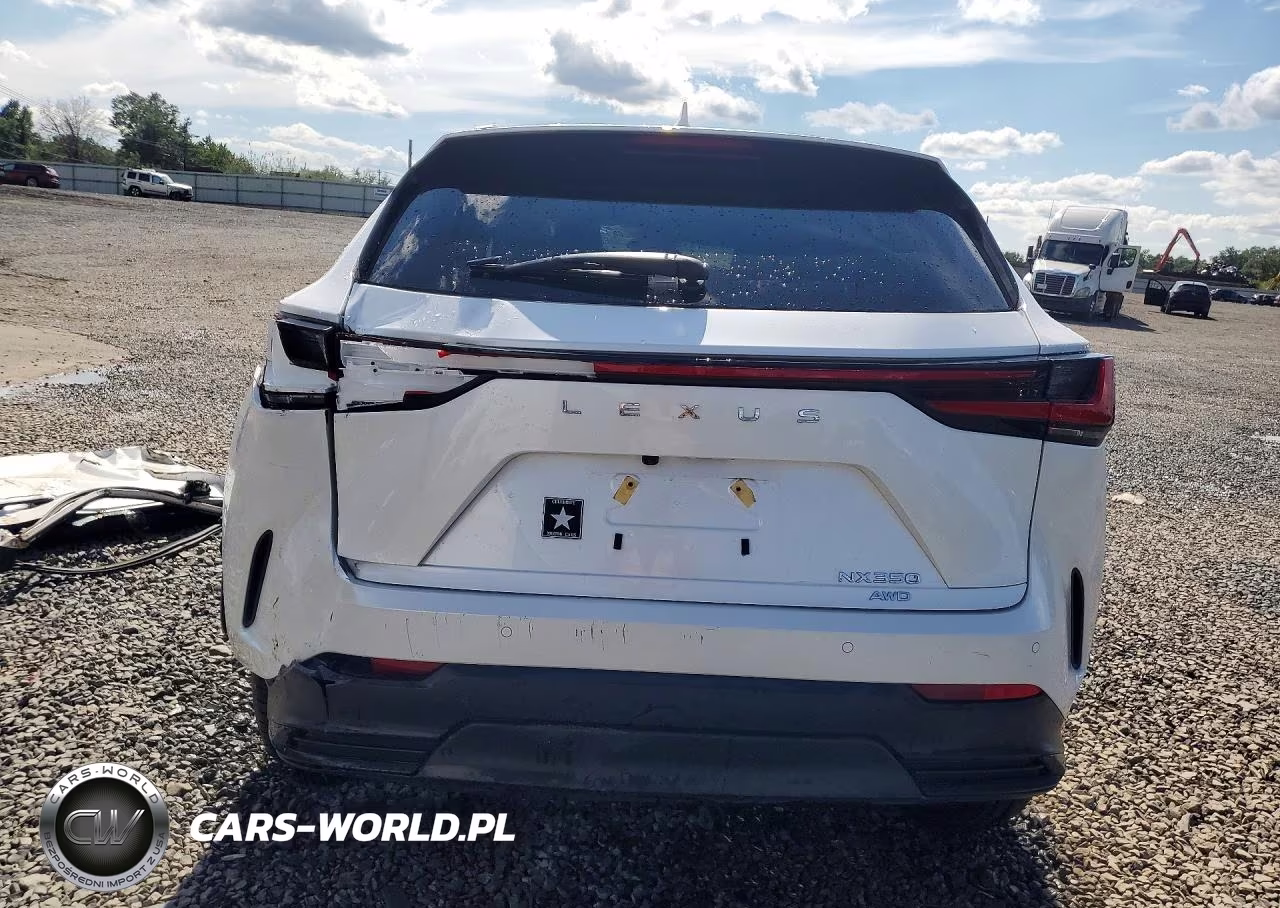 2025 Lexus Nx 350 Base VIN:2T2AGCEZ1SC080289 - 6