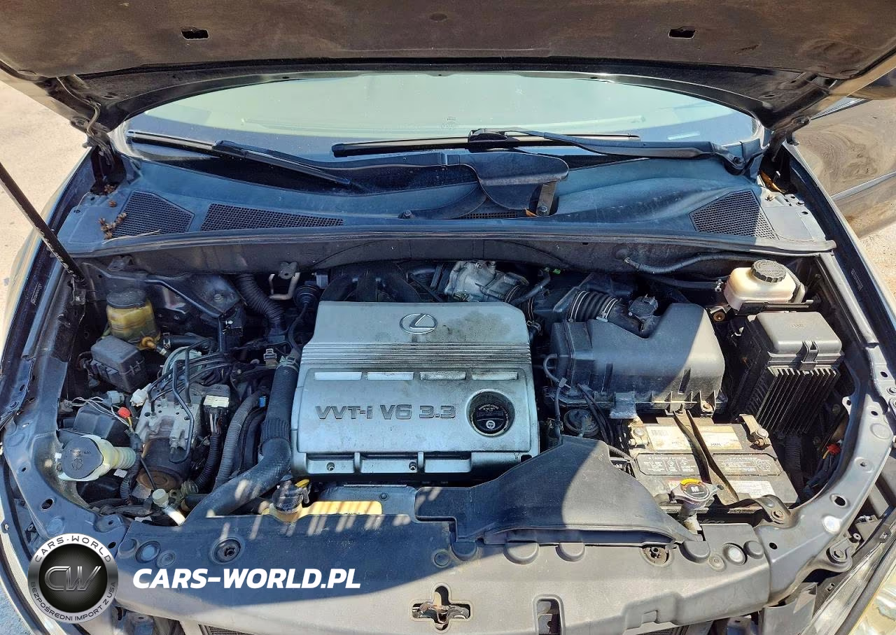 2004 Lexus Rx 330 VIN:2T2GA31U04C011828 - 11