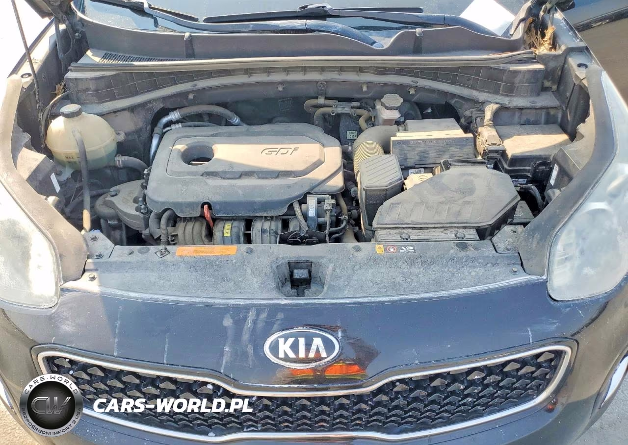 2017 Kia Sportage Lx VIN:KNDPMCAC8H7098663 - 12