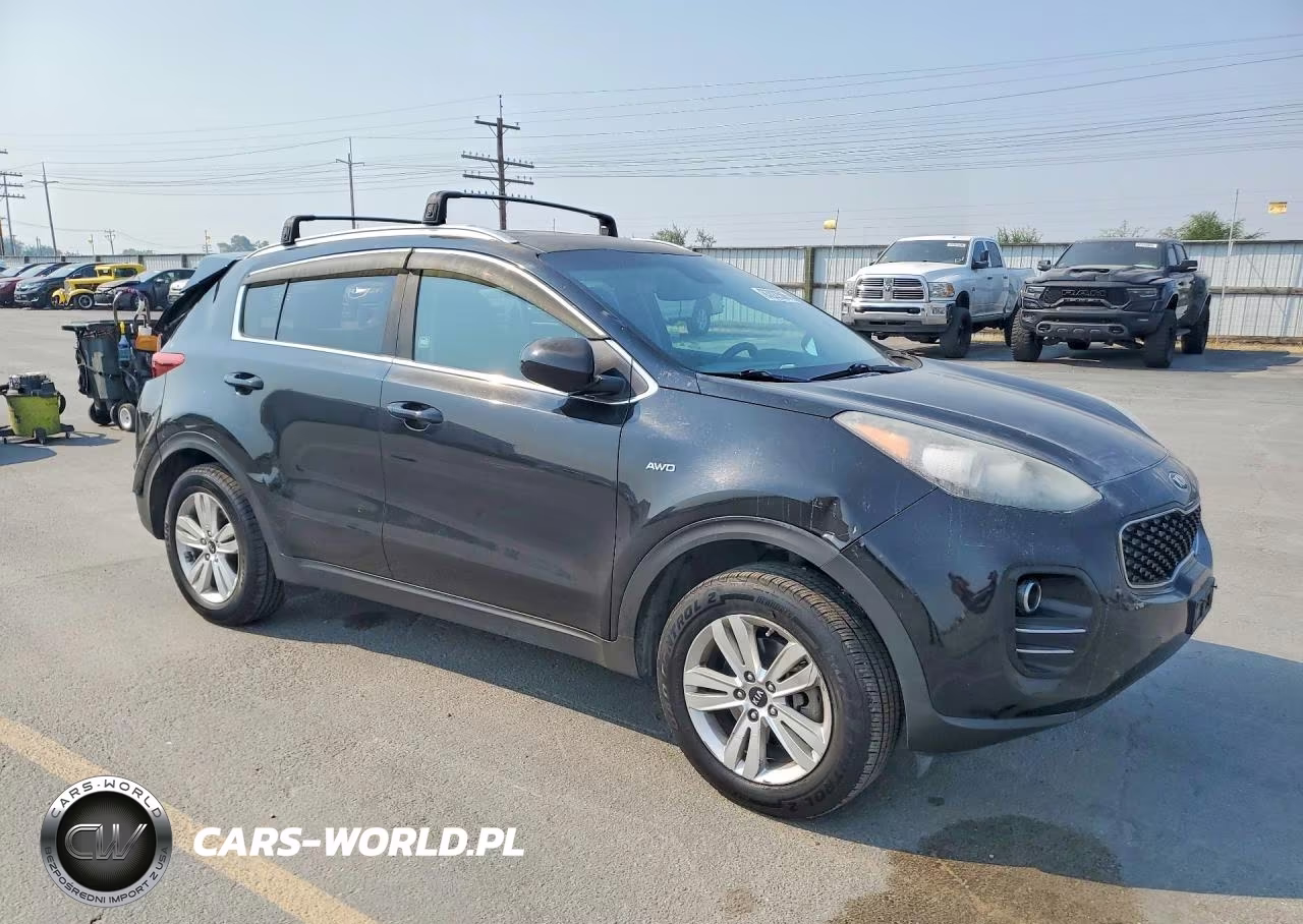 2017 Kia Sportage Lx VIN:KNDPMCAC8H7098663 - 4