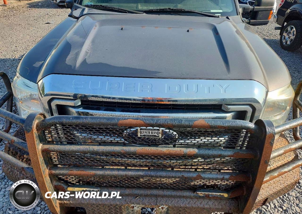 2011 Ford F250 Super Duty VIN:1FT7W2B60BEB74151 - 11