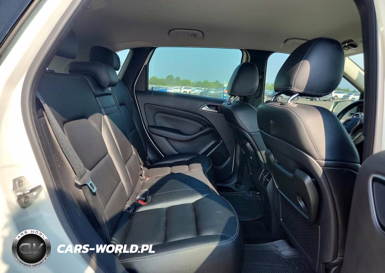 2016 Mercedes-Benz B 250E VIN:WDDVP9AB4GJ008926 - 10