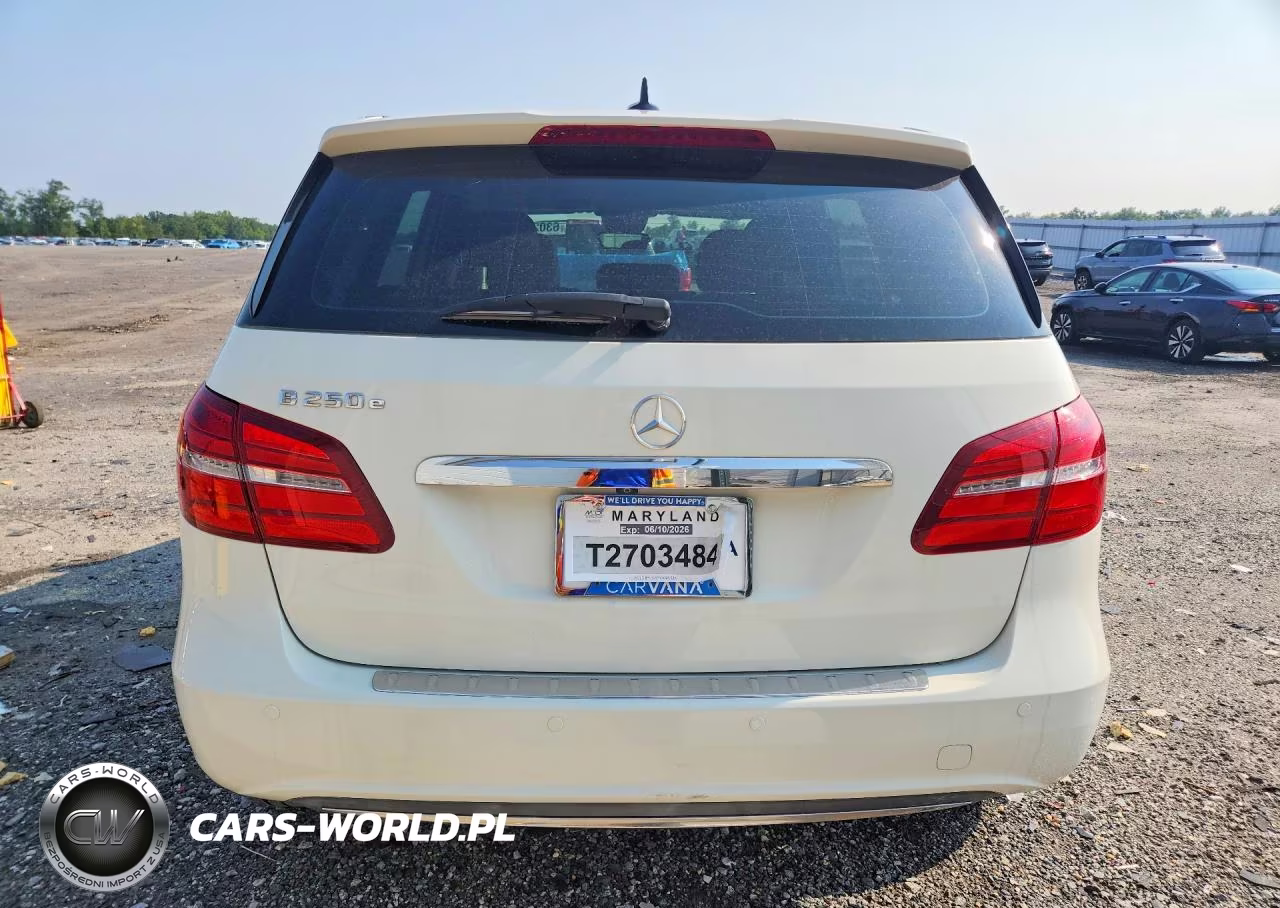 2016 Mercedes-Benz B 250E VIN:WDDVP9AB4GJ008926 - 6