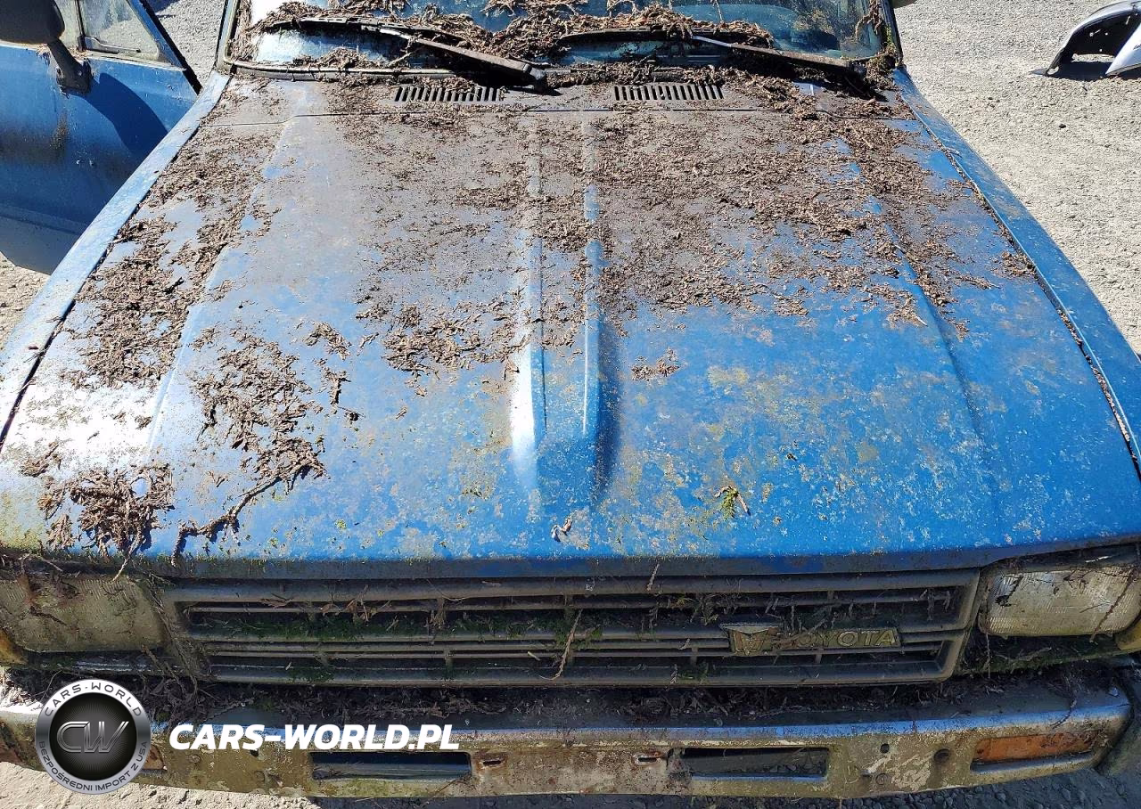 1982 Toyota Pickup - Cab Chassis 1-2 Ton Dlx VIN:JT4RN44DXC0089576 - 11