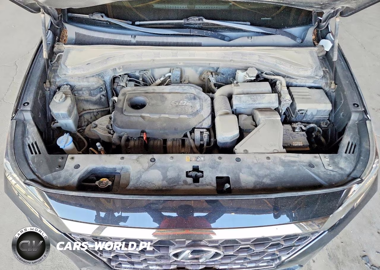 2019 Hyundai Santa Fe Sel 2.4L VIN:5NMS3CAD9KH088486 - 11