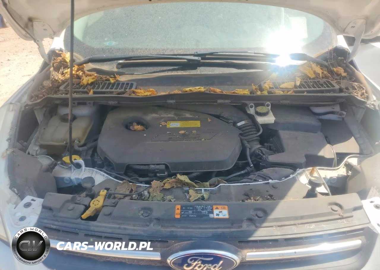 2014 Ford Escape Se VIN:1FMCU0GX0EUD18619 - 12