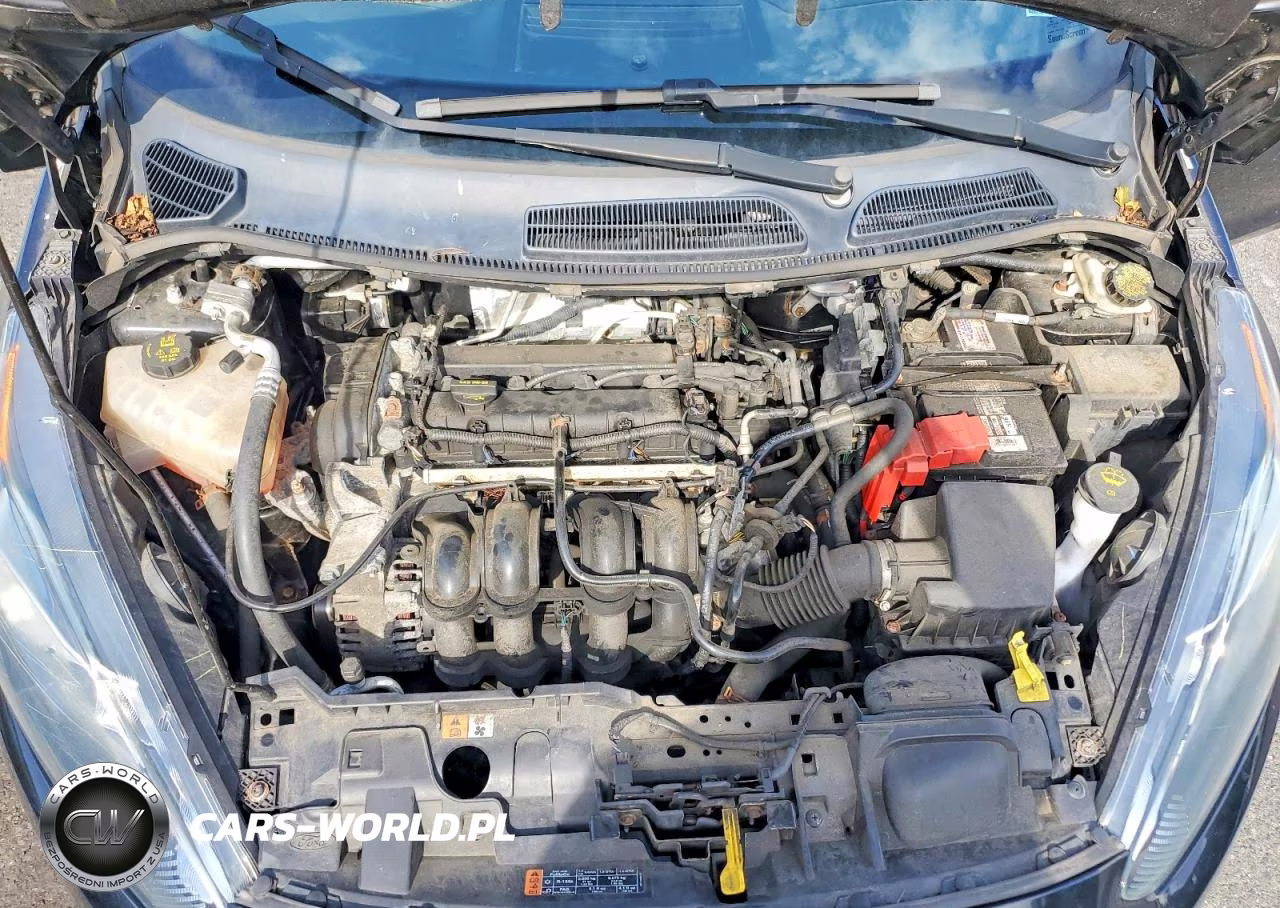 2016 Ford Fiesta Se VIN:3FADP4BJ7GM137489 - 11