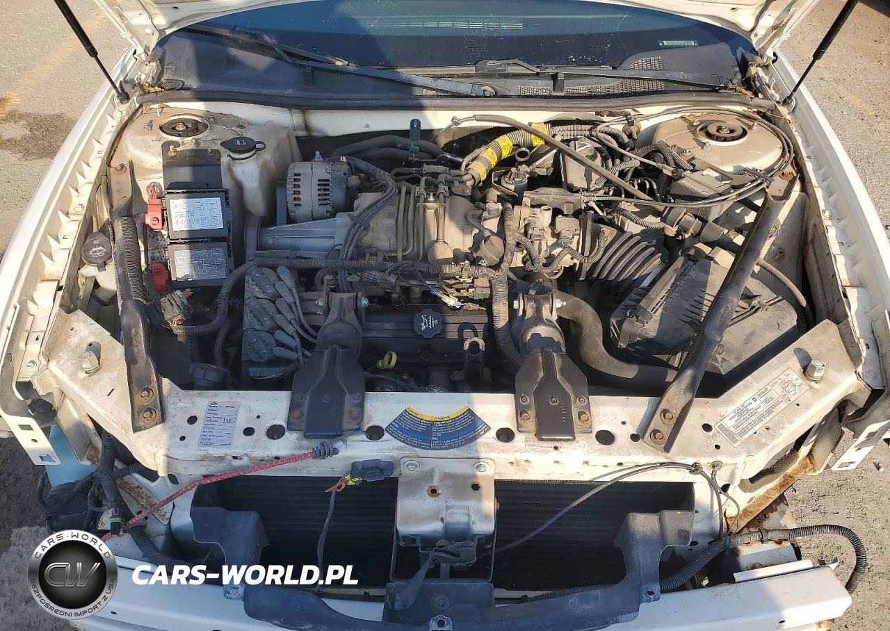 2004 Chevrolet Monte Carlo Ss Supercharged VIN:2G1WZ121X49151556 - 11