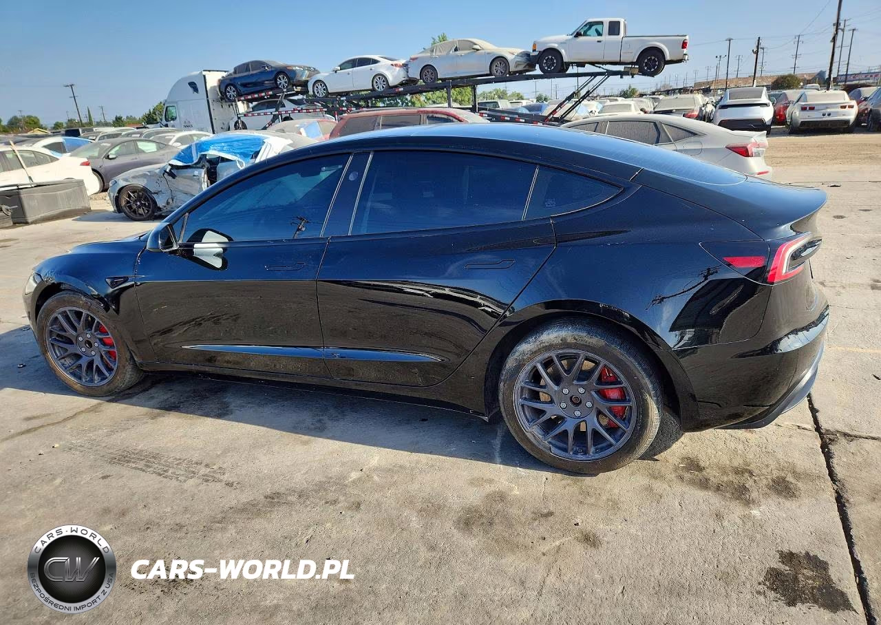 2025 Tesla Model 3 VIN:5YJ3E1EA3SF980608 - 2