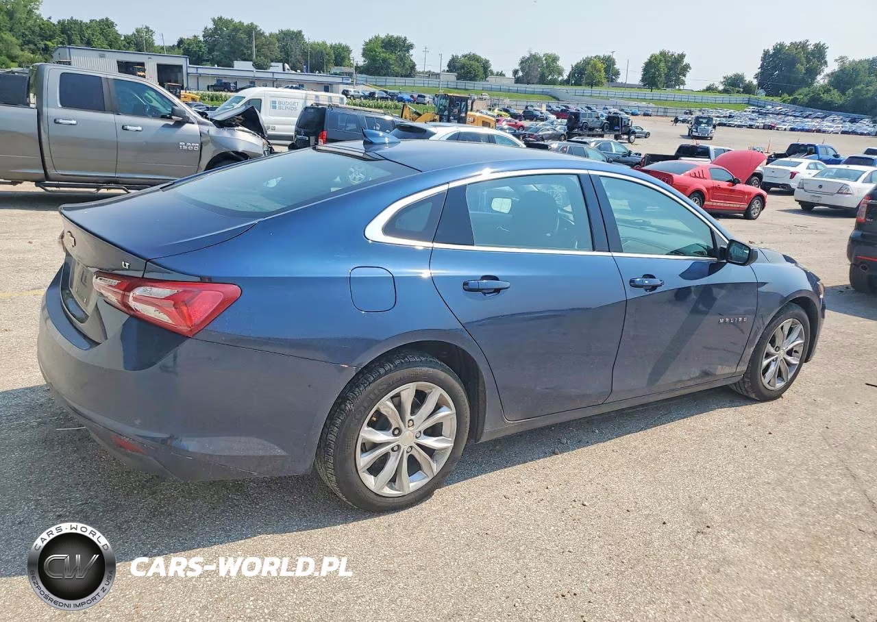 2019 Chevrolet Malibu Lt VIN:1G1ZD5ST3KF149544 - 3