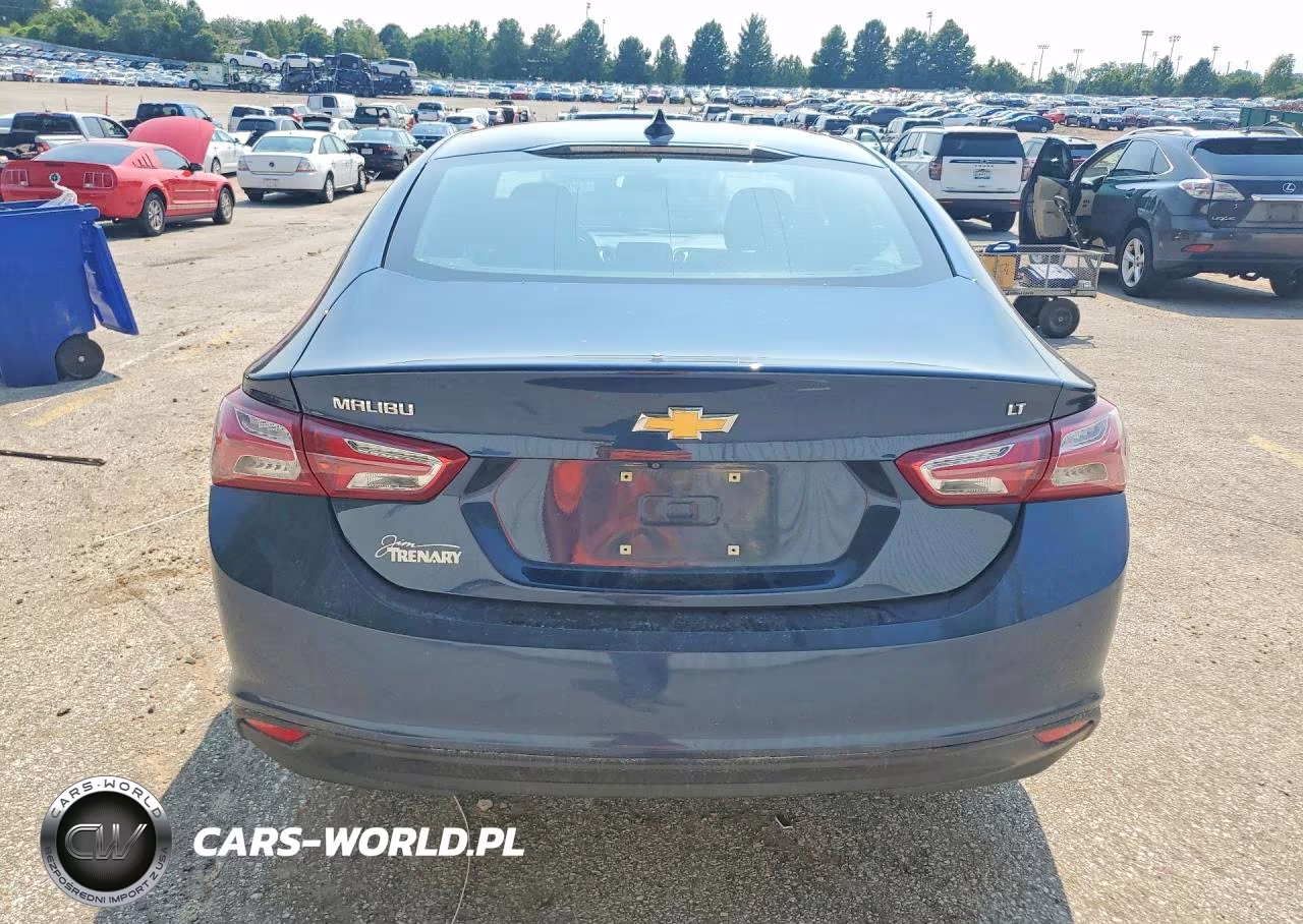 2019 Chevrolet Malibu Lt VIN:1G1ZD5ST3KF149544 - 6