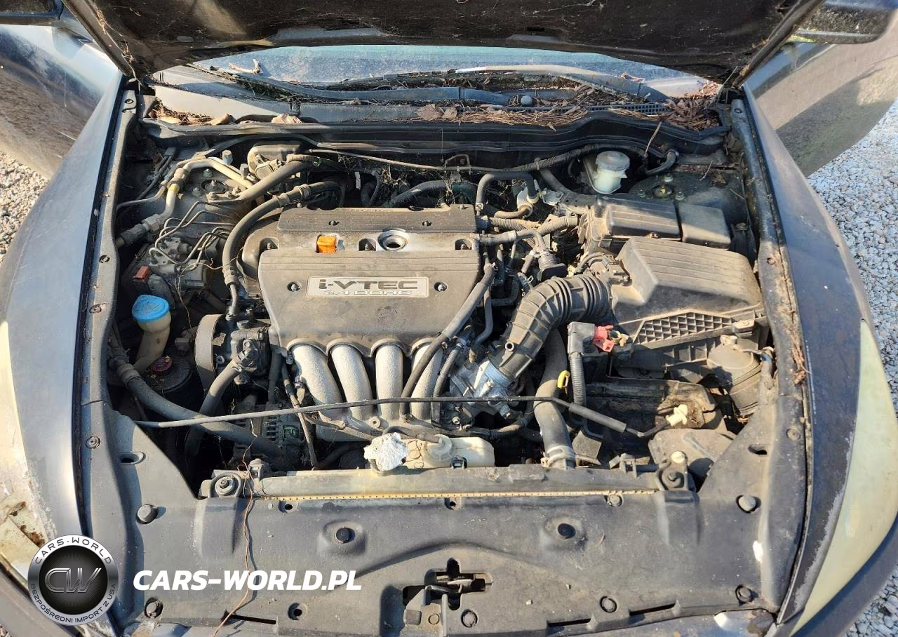 2006 Honda Accord Ex VIN:1HGCM72756A008426 - 11
