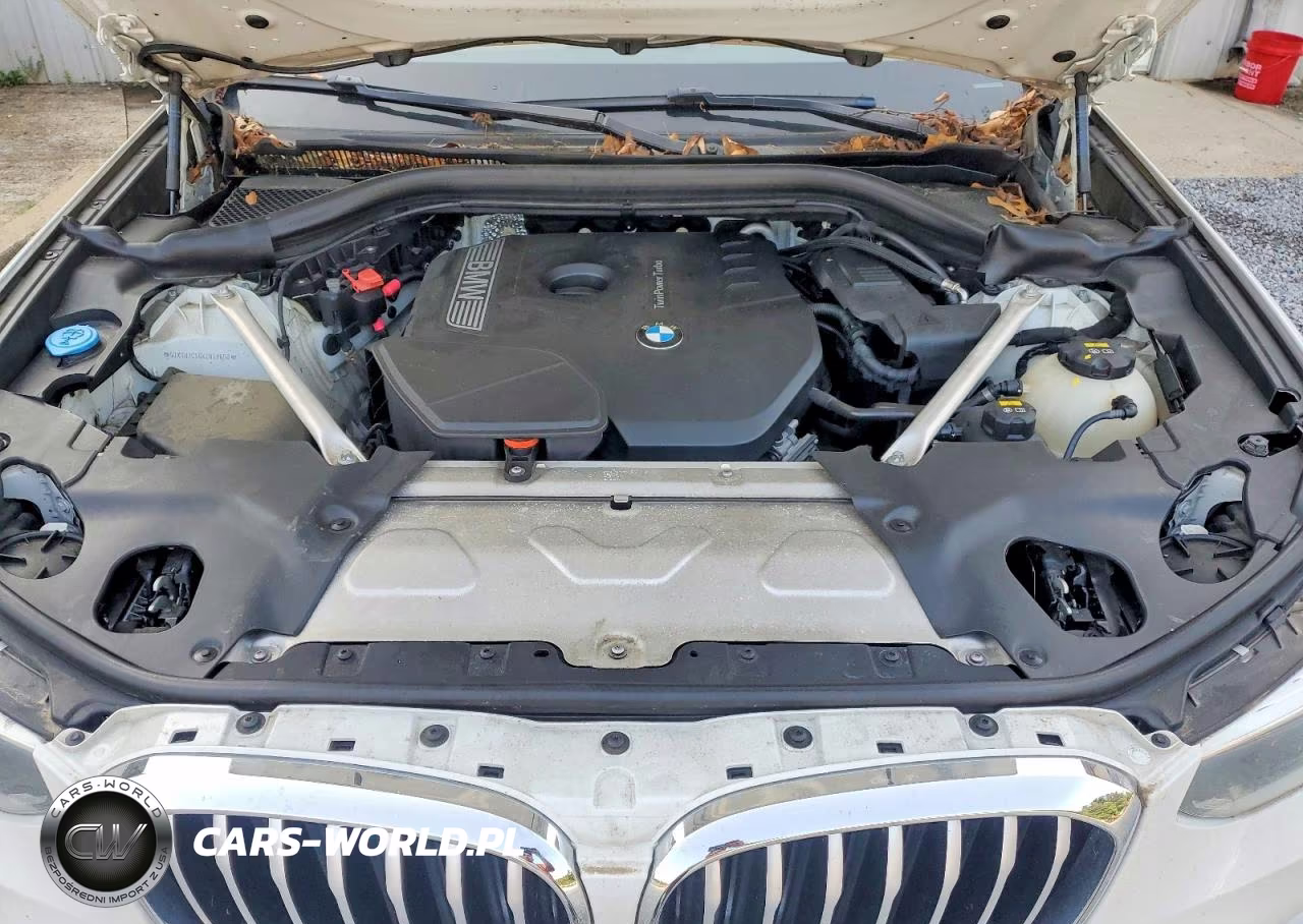 2019 BMW X3 Sdrive30I VIN:5UXTR7C56KLR48650 - 11