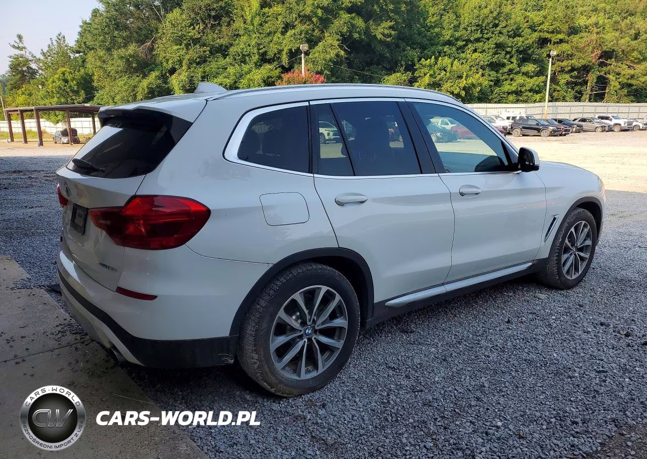 2019 BMW X3 Sdrive30I VIN:5UXTR7C56KLR48650 - 3