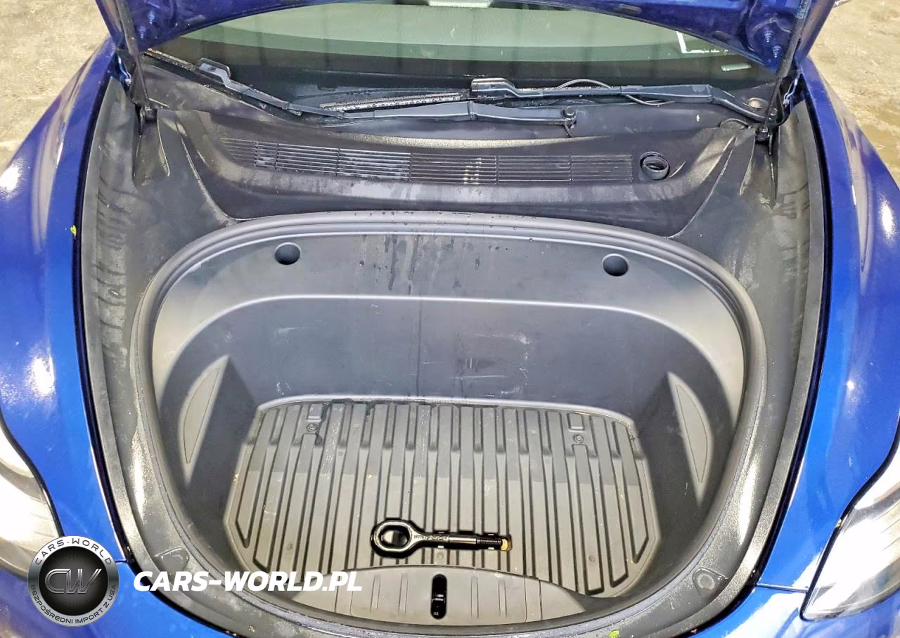 2020 Tesla Model 3 VIN:5YJ3E1EA6LF796880 - 11