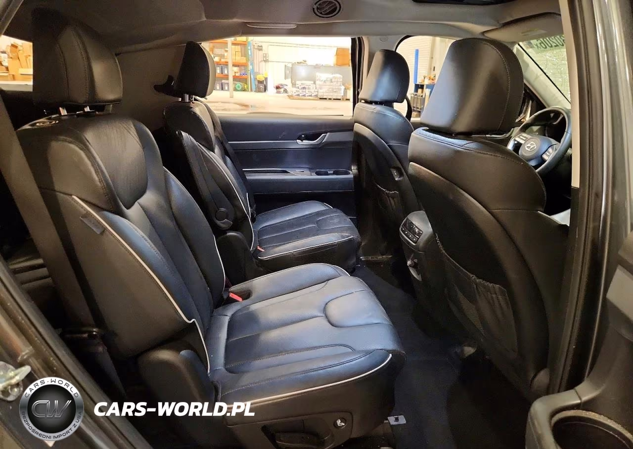 2023 Hyundai Palisade Xrt VIN:KM8R3DGEXPU577110 - 11
