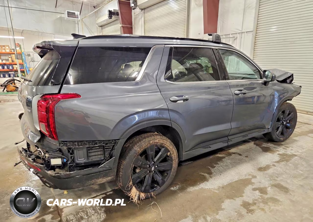2023 Hyundai Palisade Xrt VIN:KM8R3DGEXPU577110 - 3
