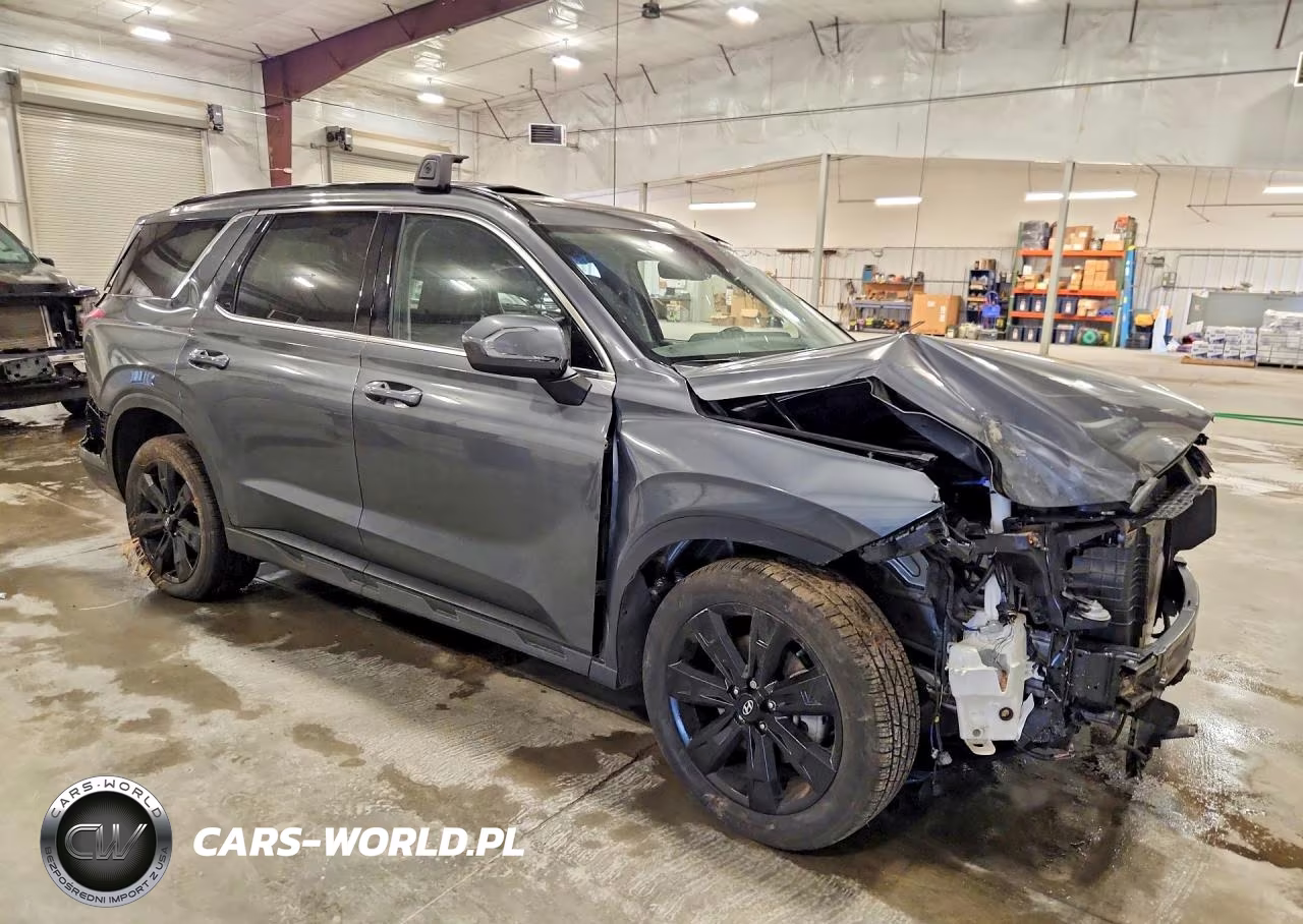 2023 Hyundai Palisade Xrt VIN:KM8R3DGEXPU577110 - 4