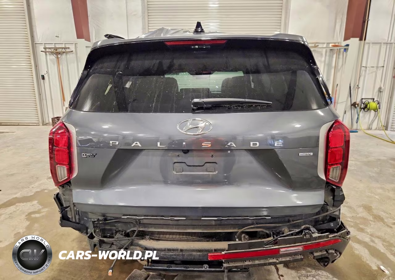 2023 Hyundai Palisade Xrt VIN:KM8R3DGEXPU577110 - 6