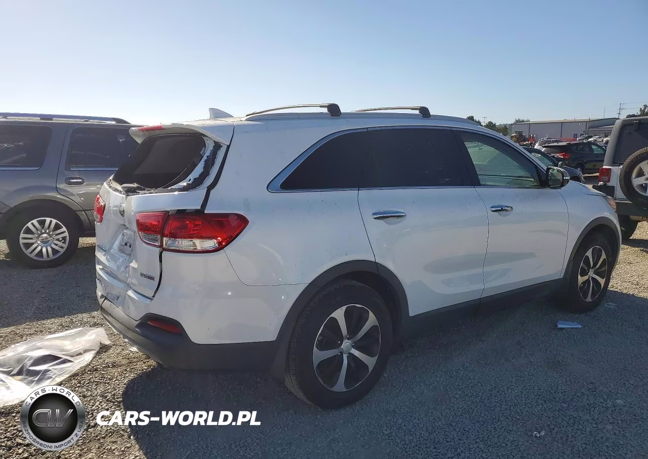 2017 Kia Sorento Ex VIN:5XYPH4A14HG296328 - 3