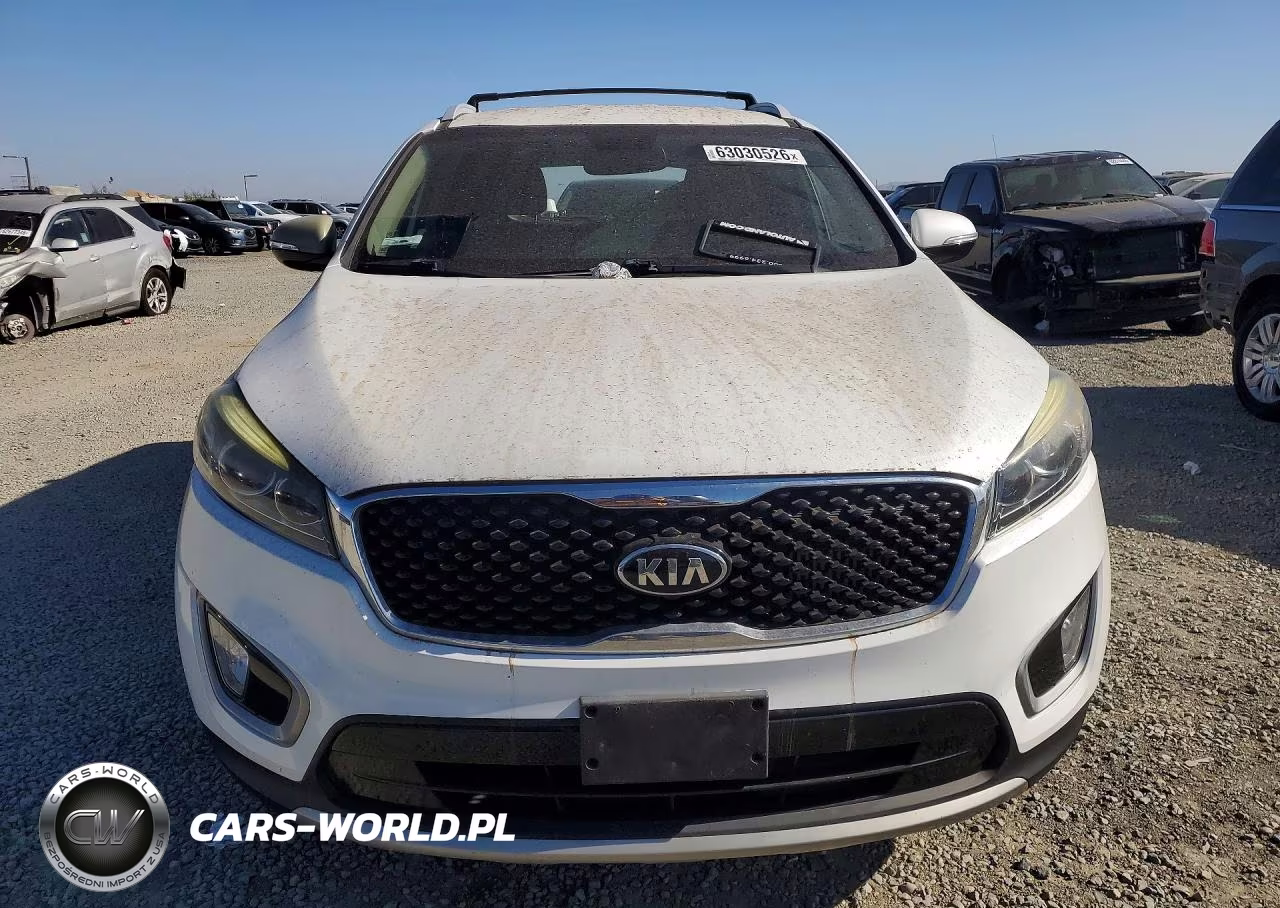 2017 Kia Sorento Ex VIN:5XYPH4A14HG296328 - 5