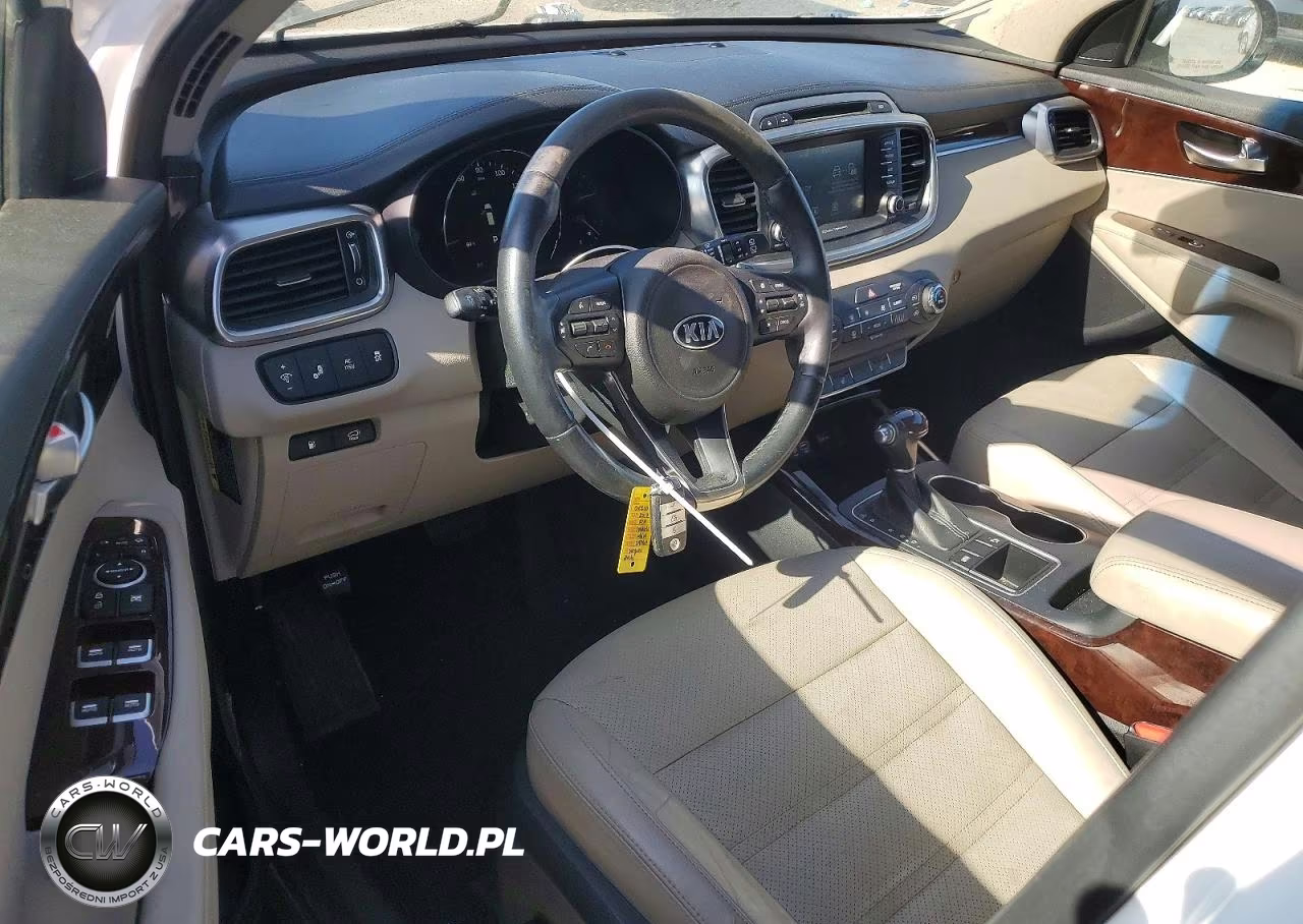 2017 Kia Sorento Ex VIN:5XYPH4A14HG296328 - 8