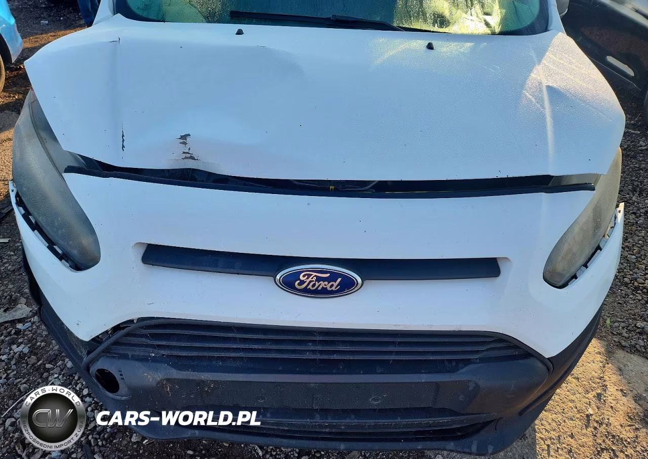 2014 Ford Transit Connect Xl VIN:NM0LS7E76E1144351 - 12